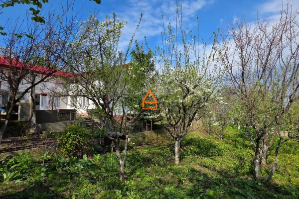 Casa – P+M – 228 mp , teren – 1024 mp – Bucium